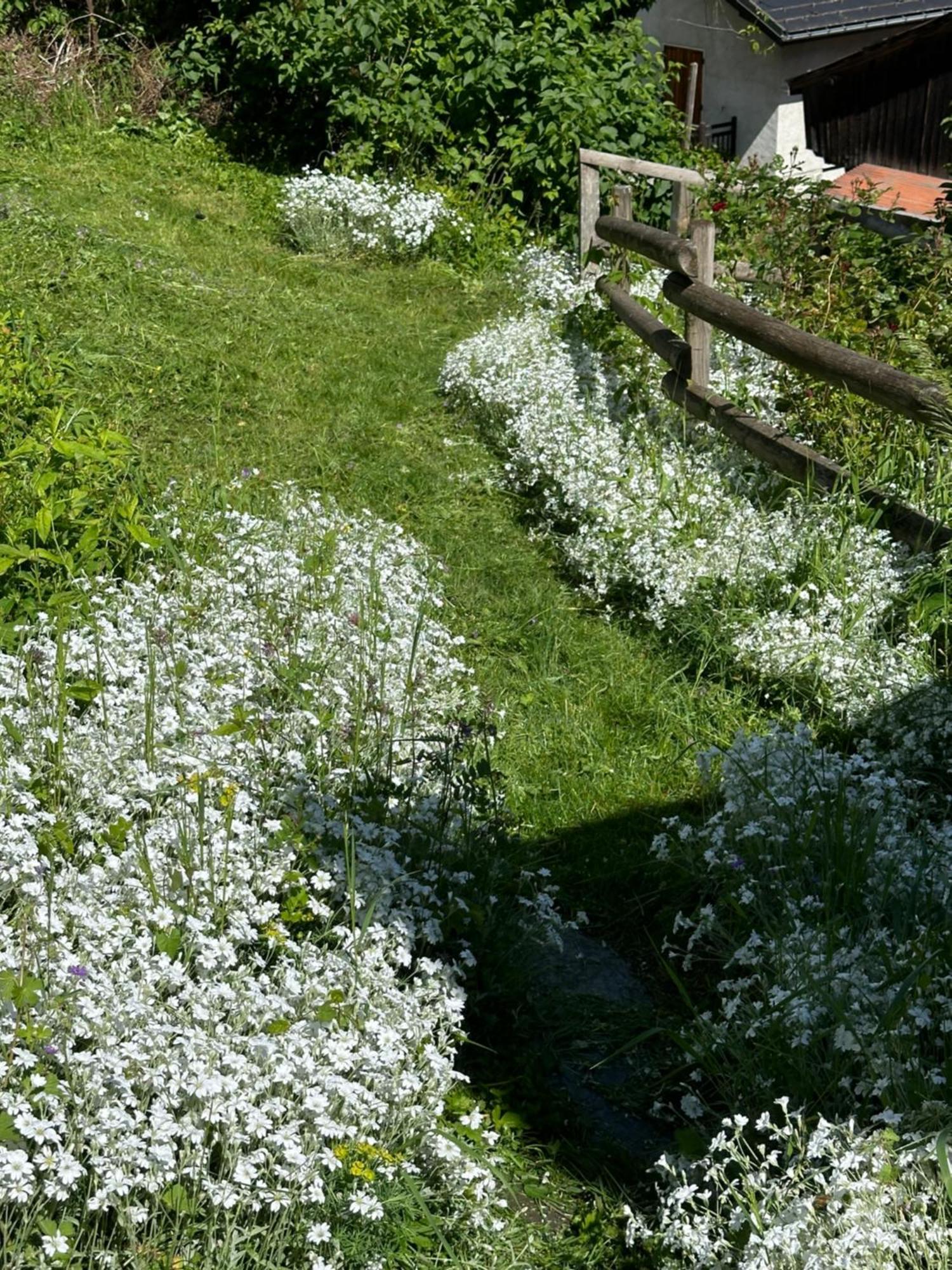 Huguette Studio 18M2 Courchevel Exterior foto
